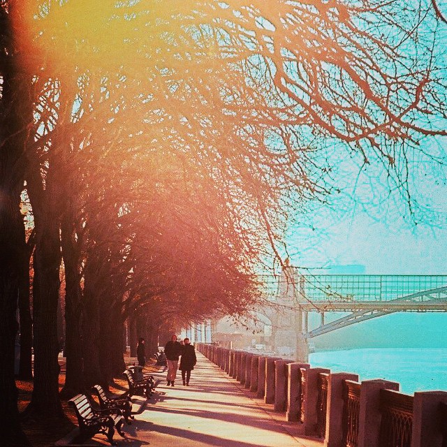 gorkypark